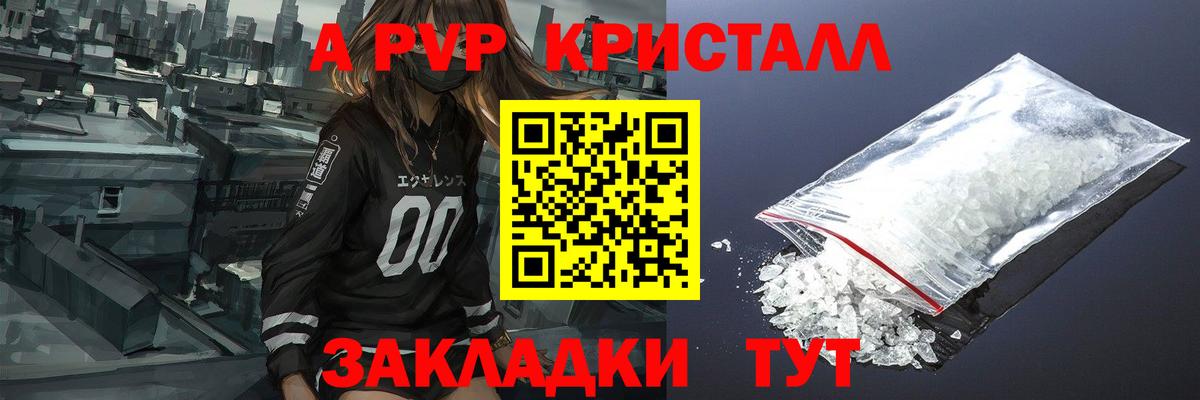 A PVP СК Зеленогорск