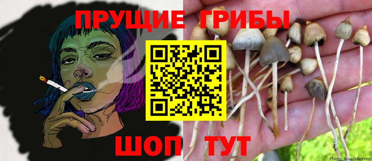 Галлюциногенные грибы MAGIC MUSHROOMS Зеленогорск