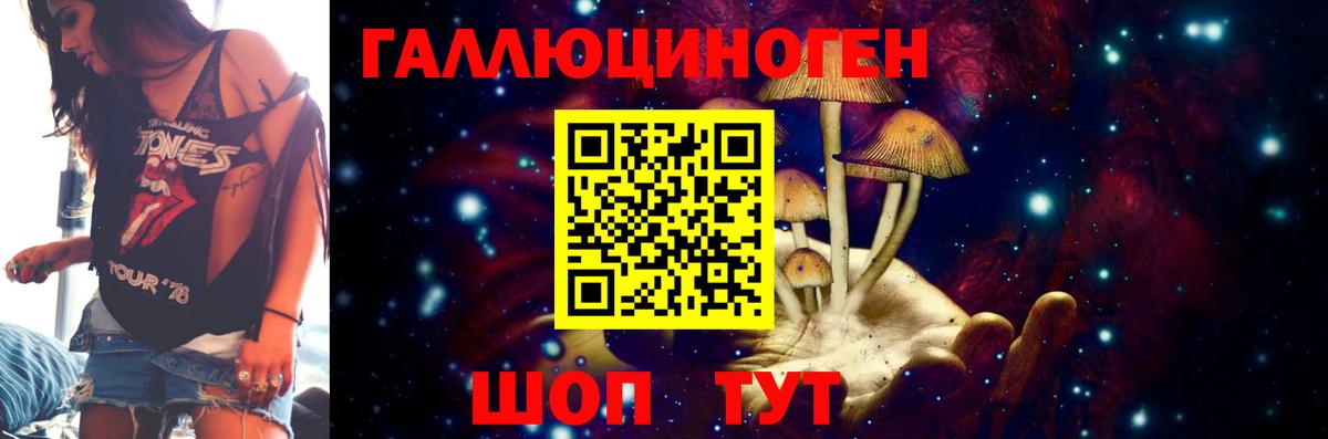 Псилоцибиновые грибы GOLDEN TEACHER  Вход с VPN  Зеленогорск 